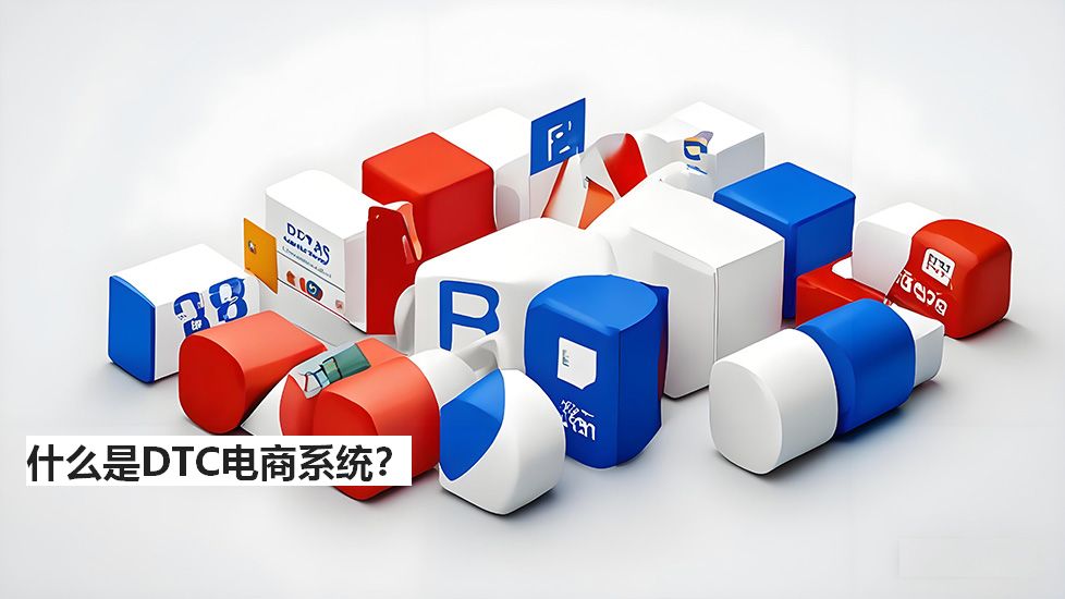 什么是DTC电商系统? 什么是DTC电商系统?